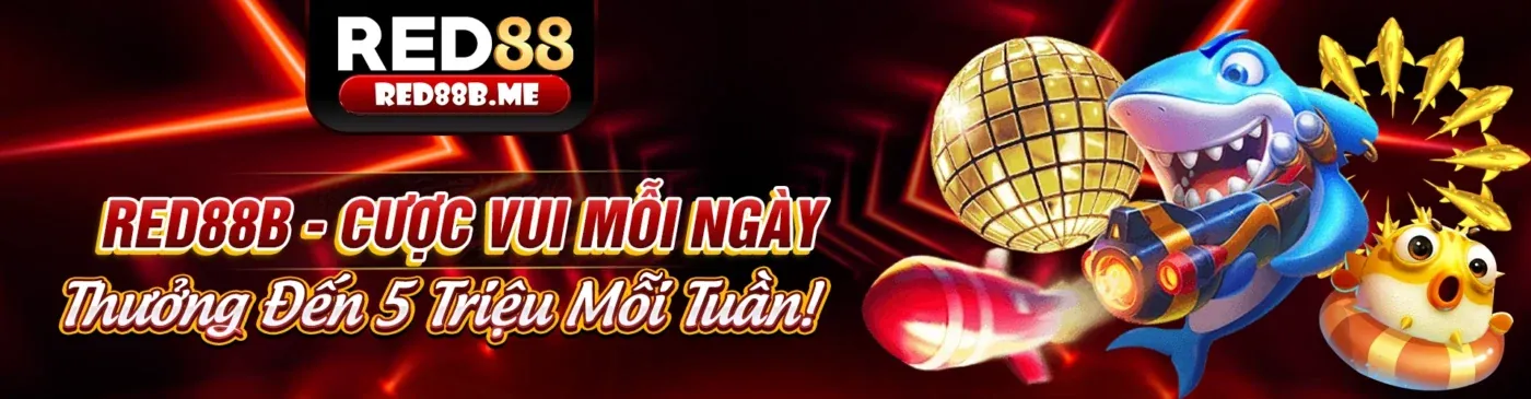 Cập nhật nền tảng 88v